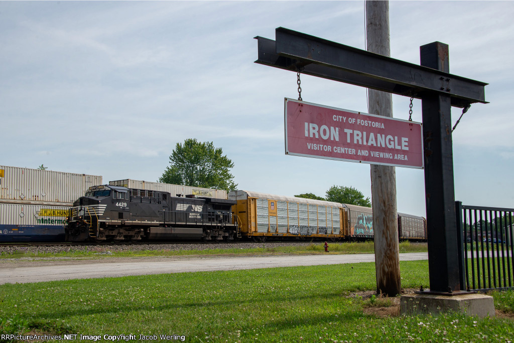 NS 4429